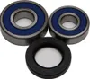 All Balls Rear Wheel Bearing Kit