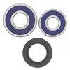 All Balls Rear Wheel Bearing Kit