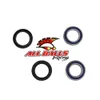 All Balls Front Wheel Bearing Kit