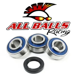AB Rear Wheel Bearing Kit for Harley