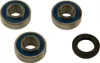 AB Rear Wheel Bearing Kit for Harley