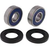 AB Front Wheel Bearing Kit Honda Indian Kawasaki Suzuki Victory