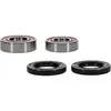 Pivot Works Premium Front Wheel Bearing Kit