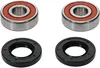 Pivot Works Premium Front Wheel Bearing Kit
