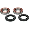 Pivot Works Premium Rear Wheel Bearing Kit