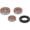 Pivot Works Premium Rear Wheel Bearing Kit for Suzuki DRZ110 Kawasaki KLX110