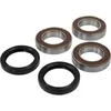 Pivot Works Rear Premium Wheel Bearing Kit