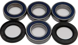 All Balls Rear Wheel Bearings Kit for Arctic Cat ATV 375-500