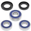 All Balls Rear Wheel Bearing Kit for GAS GAS Motorcycle 125-300