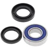 All Balls Lower Steering Bearing Kit