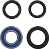 Moose Racing Lower Steering Stem Bearing Kit