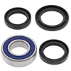 All Balls Lower Steering Bearing Kit