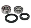 Pivot Works Complete Wheel Bearing Rebuild Kit