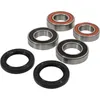 Pivot Works Complete Wheel Bearing Rebuild Kit