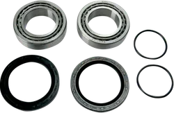 Moose Rear Wheel Axle Bearing Kit