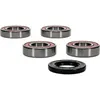 Pivot Works Premium Rear Wheel Bearings Kit KTM Husqvarna Street Bikes