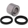 All Balls Rear Wheel Bearings Kit for Suzuki King Quad
