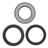 All Balls Rear Wheel Bearings Kit for Suzuki King Quad