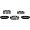Moose Rear Wheel Bearing Kit