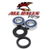 All Balls Rear Wheel Bearing Kit