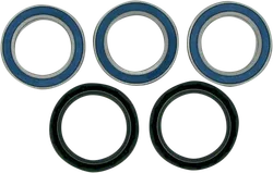 Moose Rear Wheel Axle Bearing Kit