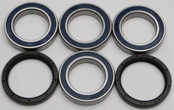 All Balls Rear Wheel Bearings Kit for Can-Am DS450