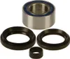 AB Front Wheel Bearing Kit Honda Foreman Rincon Rubicon