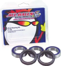 All Balls Rear Wheel Bearing Kit for E-TON Yukon Viper Vector