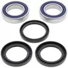 All Balls Rear Wheel Bearing Kit for E-TON Yukon Viper Vector