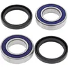 All Balls Rear Wheel Bearing Kit for Yamaha Raptor 90