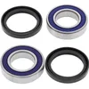 All Balls Rear Wheel Bearing Kit for Yamaha Raptor 90