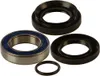 All Balls Rear Wheel Bearing Kit for Honda Rancher 420