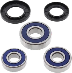 All Balls Rear Wheel Bearing Kit Triumph Aprillia Street Bike