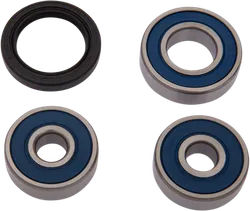 Moose Racing Rear Wheel Bearing and Seal Kit