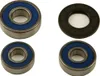 All Balls Rear Wheel Bearing Kit for Suzuki GT750 RE5