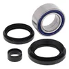All Balls Rear Wheel Bearings Kit for Honda Rancher 420