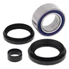 All Balls Rear Wheel Bearings Kit for Honda Rancher 420