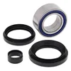 All Balls Rear Wheel Bearings Kit for Honda Rancher 420
