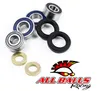 All Balls Front Wheel Bearing Upgrade Kit