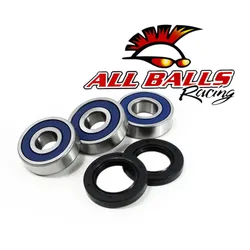 All Balls Rear Wheel Bearing Kit