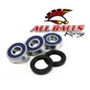 All Balls Rear Wheel Bearing Kit