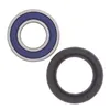 All Balls Lower Steering Bearing Kit