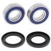 All Balls Rear Wheel Bearing Kit for Odes UTVs Dominator 800