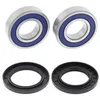 All Balls Rear Wheel Bearing Kit for Odes UTVs Dominator 800