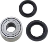 Moose Rear Wheel Axle Bearing Kit