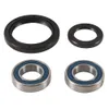 All Balls Front Wheel Bearing Kit for Suzuki DRZ400