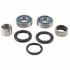 All Balls Rear Wheel Bearing Kit