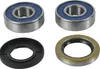 All Balls Front Wheel Bearing Kit for BMW F800GT