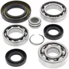 All Balls Front Differential Bearing  Kit for Honda TRX350