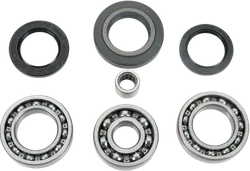 Moose Rear Differential Bearing Kit